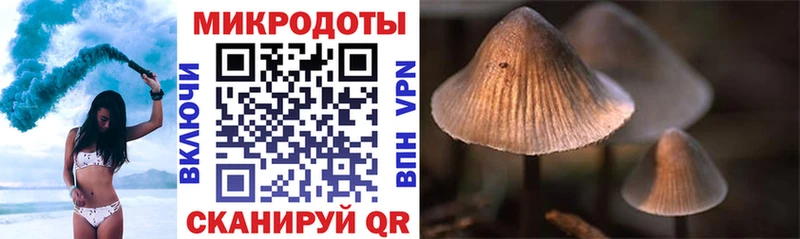 купить наркотики сайты  Верхотурье  Псилоцибиновые грибы Magic Shrooms 