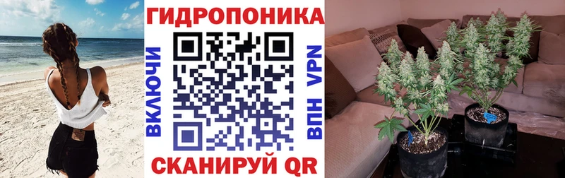 Каннабис SATIVA & INDICA  Верхотурье 